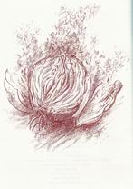 Grass, Günter - Beim Häuten der Zwiebel (2006), Ophalen of Verzenden, Zo goed als nieuw