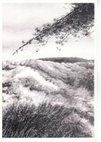 SCHIERMONNIKOOG,- Aan het Kronkelpad-Simon Gerds.12-11, Ophalen of Verzenden, 1960 tot 1980, Gelopen, Waddeneilanden