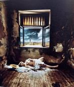 Jan​ ​Saudek Jubilations & obsessions Fotoboek, Boeken, Fotografen, Jan​Saudek, Ophalen of Verzenden, Zo goed als nieuw