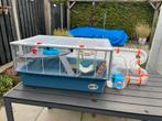 Grote hamsterkooi met vele toebehoren, Kooi, Gebruikt, Minder dan 75 cm, Hamster