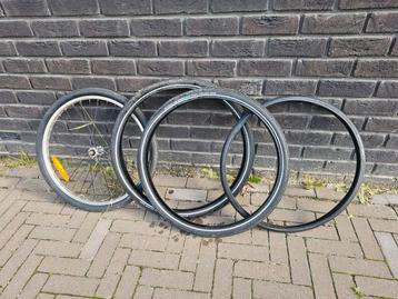 Schwalbe fietsbanden beschikbaar voor biedingen