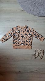 Z8 mini sweater • leopard unisex maat 92, Kinderen en Baby's, Kinderkleding | Maat 92, Jongen of Meisje, Ophalen of Verzenden