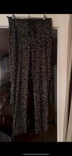 Ambika travel travelstof panterprint groen M broek pantalon, Maat 38/40 (M), Ophalen of Verzenden, Zo goed als nieuw, Ambika