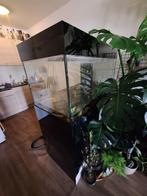 Aquarium, Dieren en Toebehoren, Vissen | Aquaria en Toebehoren, Ophalen, Gebruikt, Leeg aquarium