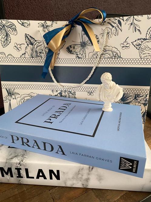 Set decoratie boeken, art buste in cadeau tas, Huis en Inrichting, Woonaccessoires | Overige, Nieuw, Ophalen of Verzenden