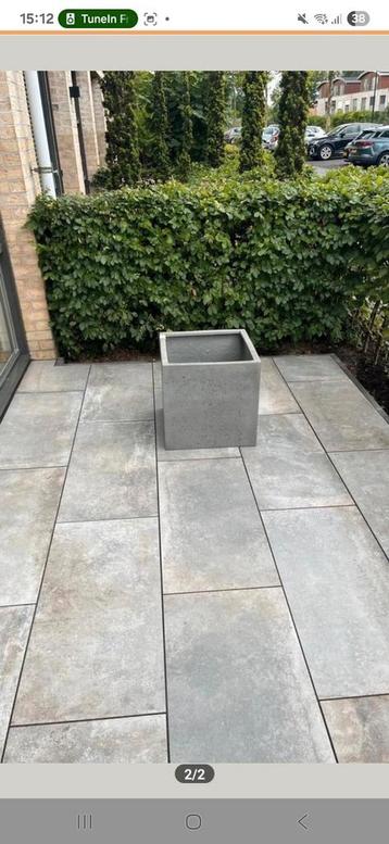 Betonnen plantenbak vierkant beschikbaar voor biedingen