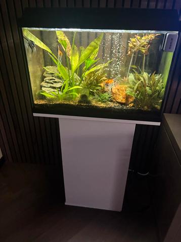 Aquarium 60 liter beschikbaar voor biedingen