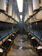 Laval 2x12 melkstal, Ophalen of Verzenden