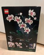 Nieuw: LEGO Botanical Collection Orchidee set (10311), Ophalen of Verzenden, Nieuw, Complete set, Lego