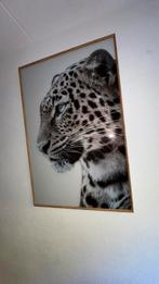 Exclusief luipaard schilderij, Huis en Inrichting, Ophalen of Verzenden, Nieuw, Schilderij, 75 cm of meer