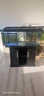 Juwel rio 180 met multilux led en kast, Dieren en Toebehoren, Vissen | Aquaria en Toebehoren, Ophalen, Leeg aquarium