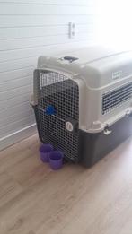 Giant Dog Transport Crate (IATA Compliant) - 121/80/89cm, Dieren en Toebehoren, Ophalen of Verzenden, Zo goed als nieuw