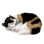 Lapjeskat poezen en honden Perfect Petzzz, Ophalen of Verzenden, Nieuw, Poes