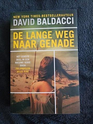 David Baldacci - De lange weg naar genade beschikbaar voor biedingen