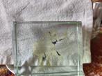 Glazen blok met olifant, Antiek en Kunst, Antiek | Glas en Kristal, Ophalen