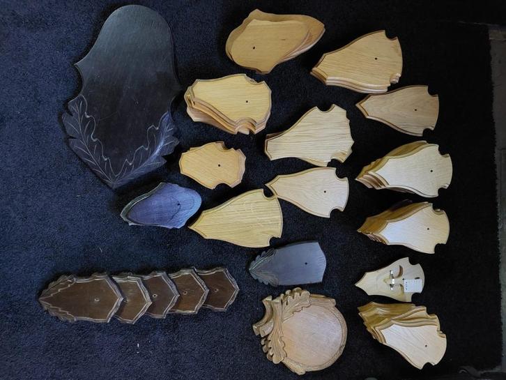 TROFEE SCHILD PLANK GEWEI TAXIDERMI, Hobby en Vrije tijd, Overige Hobby en Vrije tijd, Nieuw, Ophalen of Verzenden