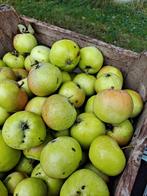 Kist vol kleine zoete appeltjes, Ophalen