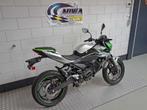 KAWASAKI Z e-1 (bj 2024), Bedrijf, Naked bike