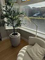Leuke witte vloerlamp, Ophalen of Verzenden, Zo goed als nieuw, 150 tot 200 cm