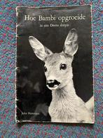 Hoe bambi opgroeide in een Deens dorpje, Ophalen of Verzenden, Gelezen, John Hartmann