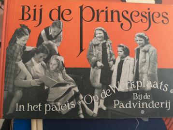 Bij de Prinsesjes - Vintage Kinderboek beschikbaar voor biedingen