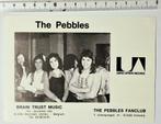 THE PEBBLES  promo/fotokaart United Artists, Verzamelen, Ophalen of Verzenden, Zo goed als nieuw, Foto of Kaart