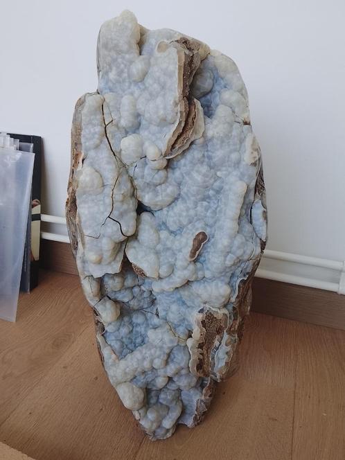 Versteende boom met kristalgroei, Verzamelen, Mineralen en Fossielen, Mineraal, Ophalen