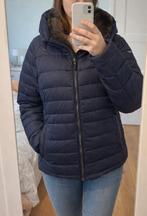 Esprit donkerblauwe jas XXL - Nieuw!, Kleding | Dames, Jassen | Winter, Blauw, Maat 46/48 (XL) of groter, Nieuw, Ophalen of Verzenden
