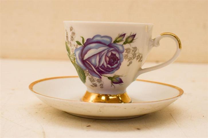 Tirschenreuth Bavaria porseleinen kop en schoteltje 48354, Huis en Inrichting, Keuken | Servies, Gebruikt, Ophalen of Verzenden