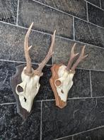 2 Mooie Ree geweien samen € 20 jacht mancave kerst e89, Ophalen of Verzenden, Gebruikt, Hert, Gewei of Kop