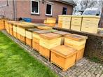 Dadant US bijenkasten kunststof, duurzaam en practisch, Bijen