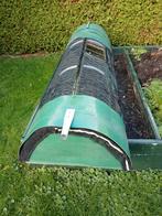 Konijnen ren, Middelgroot