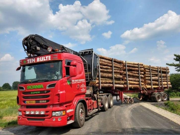 Brandhout stammen diverse houtsoorten en afmetingen, Tuin en Terras, Haardhout, Stammen, 6 m³ of meer, Ophalen
