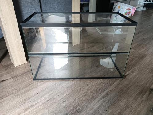 Terrarium, Dieren en Toebehoren, Reptielen en Amfibieën | Toebehoren, Zo goed als nieuw, Ophalen