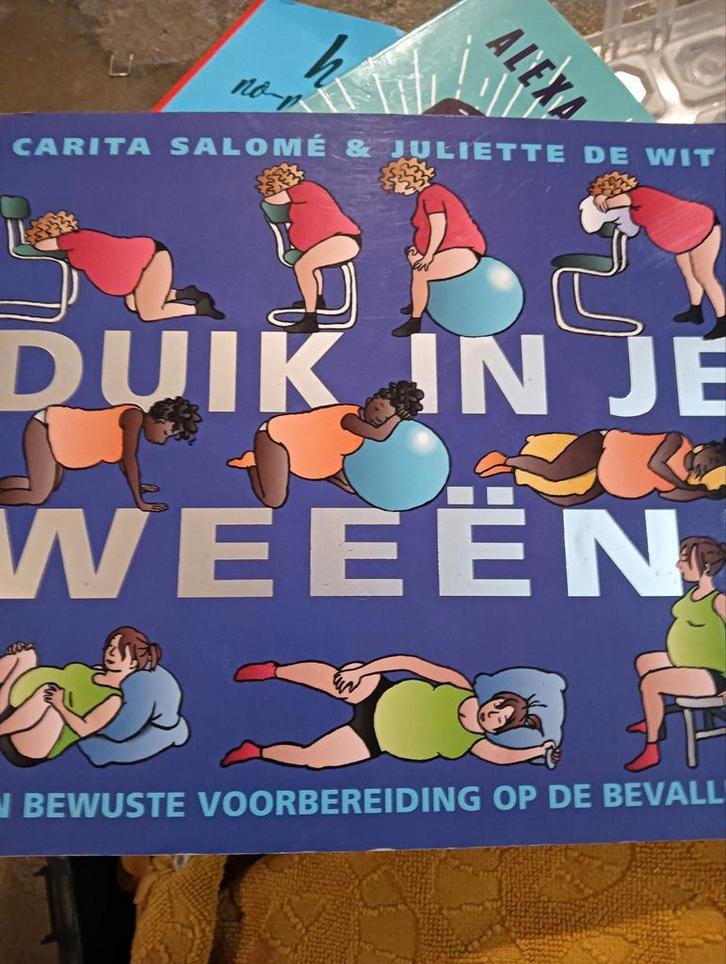 Carita Salome - Duik in je weeen, Boeken, Zwangerschap en Opvoeding, Zo goed als nieuw, Zwangerschap en Bevalling, Ophalen of Verzenden