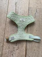 Tuig voor pup. Cocopup London, Ophalen, Gebruikt, Hondenriem-accessoire