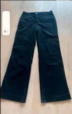 Sissy boy s fluweel nieuwstaat, Kleding | Dames, Broeken en Pantalons, Zwart, Sissy-Boy, Ophalen of Verzenden, Zo goed als nieuw