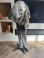 Halloween pop, Ophalen of Verzenden, Zo goed als nieuw, Halloween of Griezel