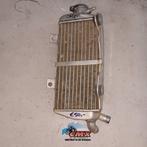 Radiateur Honda CRF450 (2013) CRF450 radiator CRF450, Motoren, Ophalen, Cmx, Cmx, Cmx