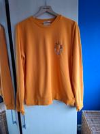 Maison scotch sweater maat L oranje, Ophalen of Verzenden, Zo goed als nieuw, Maat 38/40 (M), Oranje