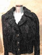 Kort model zwarte bontjas jas maat 36-38, Zwart, Etten-Leur, DJT@dejuistetoon.eu, Ophalen of Verzenden