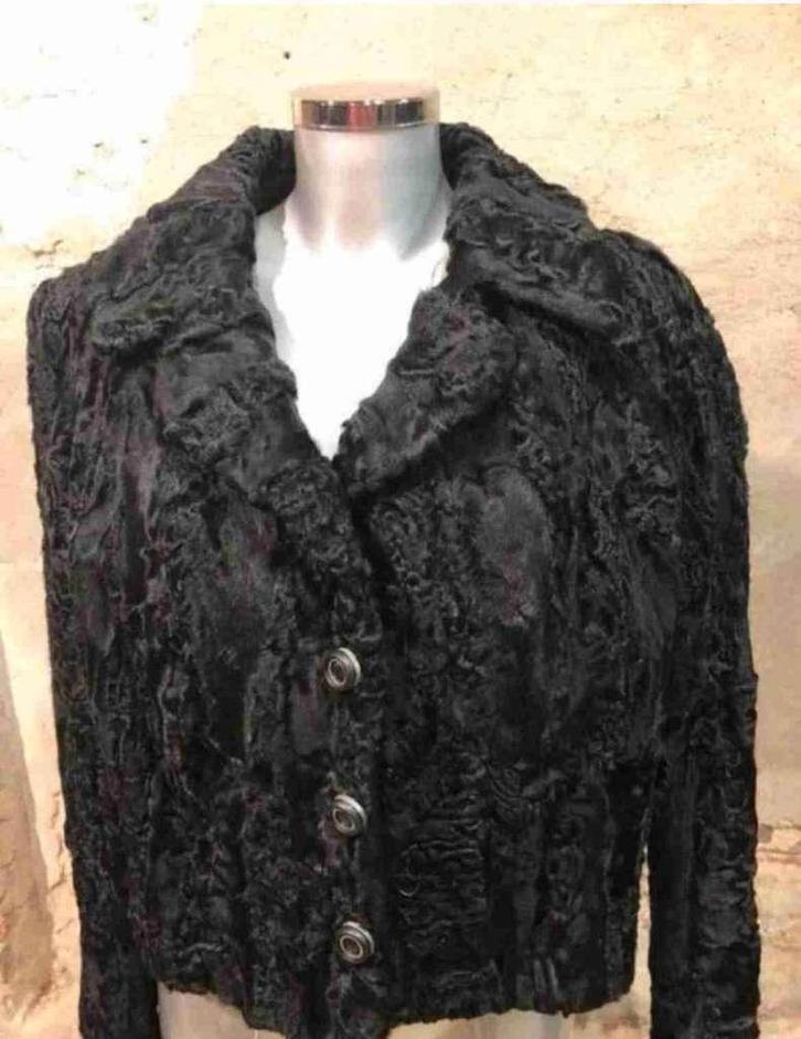 Kort model zwarte bontjas jas maat 36-38, Kleding | Dames, Jassen | Winter, Gedragen, Maat 36 (S), Zwart, Ophalen of Verzenden