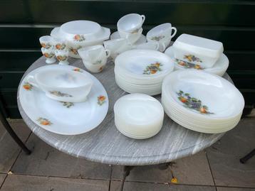 Arcopal servies, fruit de France, retro design beschikbaar voor biedingen
