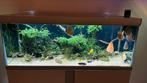 Tropisch Aquarium met vissen en toebehoren, Dieren en Toebehoren, Ophalen of Verzenden, Zo goed als nieuw, Gevuld zoetwateraquarium