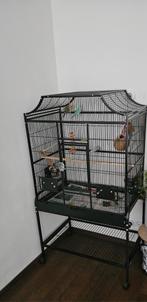 2 parkieten en mooie vogelkooi, Dieren en Toebehoren, Meerdere dieren, Parkiet