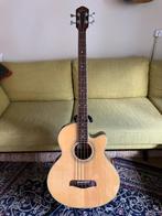 Semi akoestische fretloze basgitaar, Ophalen, Zo goed als nieuw, Semi-akoestisch, Fretloos