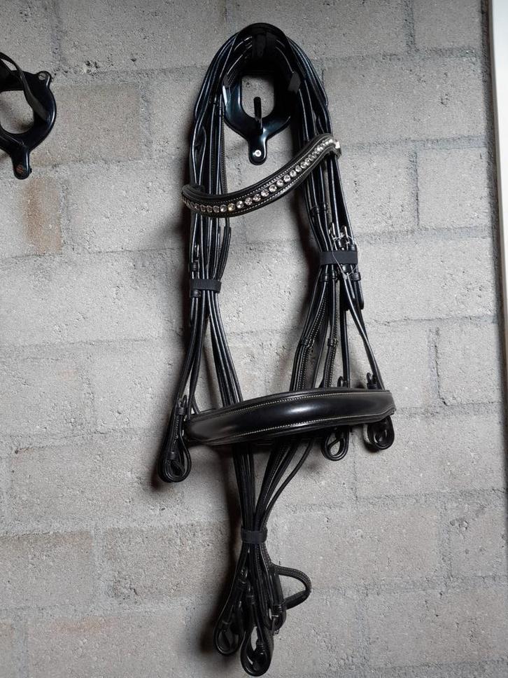 Splinternieuw Graziozo stang&trens hoofdstel incl teugels, Dieren en Toebehoren, Paarden en Pony's | Hoofdstellen en Tuigage, Nieuw