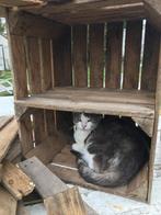 Originele Vintage Fruitkistjes GRATIS bezorging vanaf 10 st, Ophalen, Zo goed als nieuw, Minder dan 50 cm