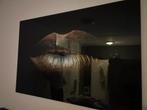 Schilderij, Huis en Inrichting, Woonaccessoires | Schilderijen, Tekeningen en Foto's, Ophalen, Gebruikt, Schilderij, 100 tot 125 cm