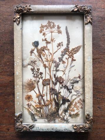 Vintage Ingelijste Gedroogde Bloemen - 1934 beschikbaar voor biedingen